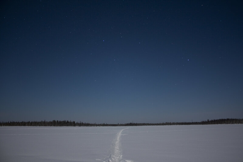 Starry night over snowy landscape