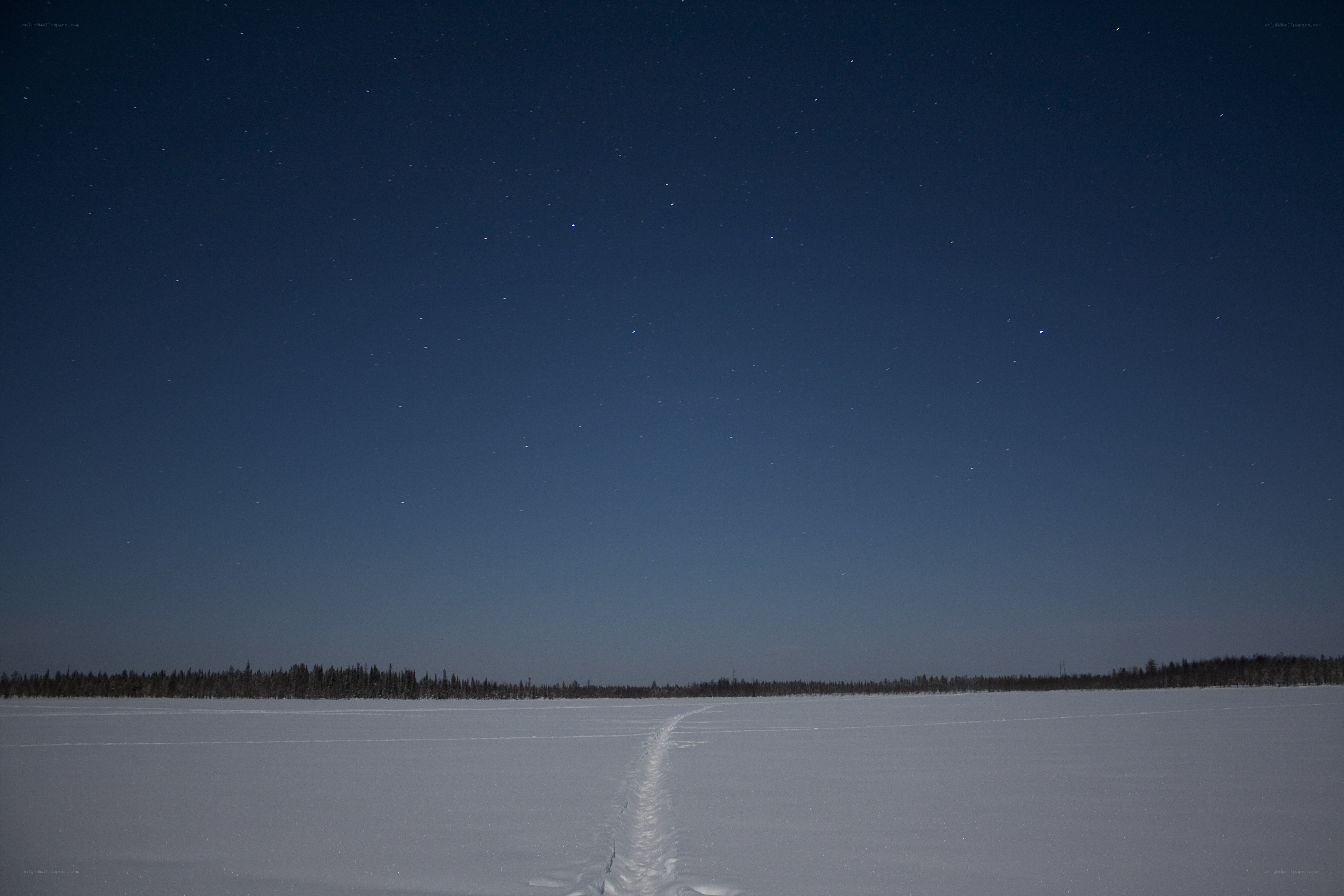 Starry night over snowy landscape