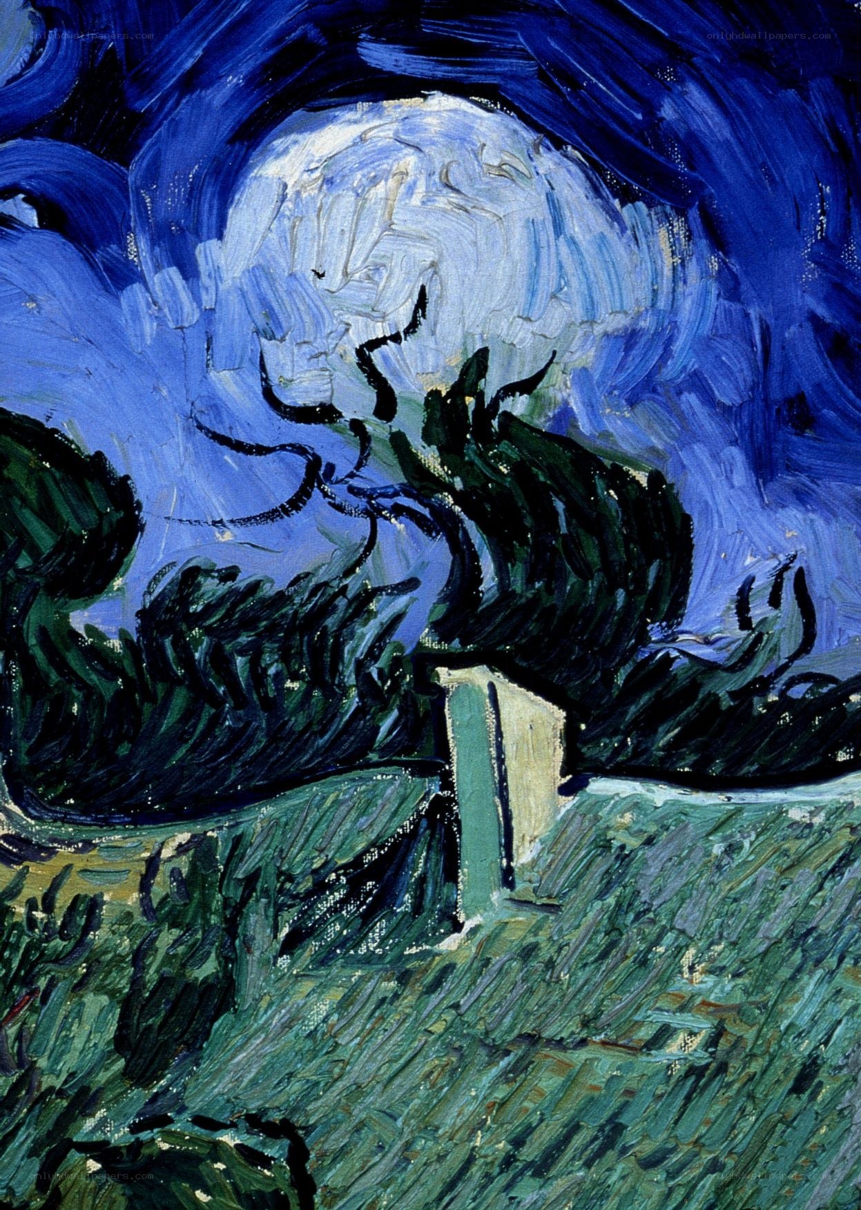 Starry Night Over the Rhone