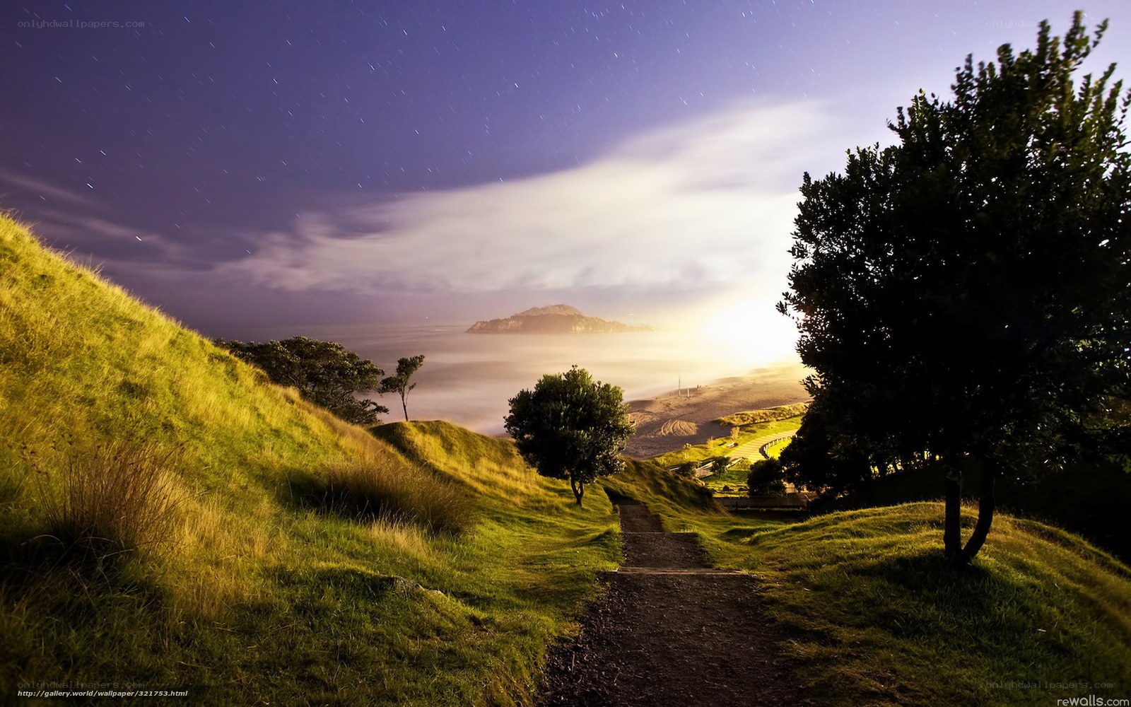Starry night path to the sea