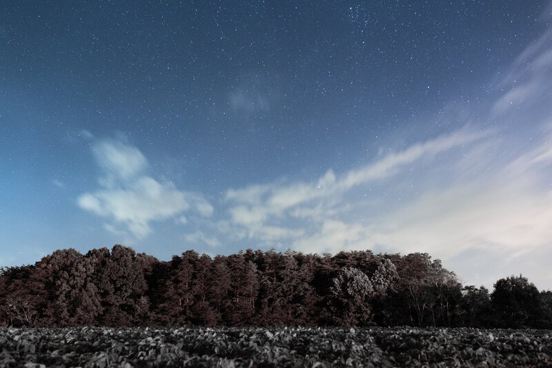 Starry Night Sky — Blue, Serene, Photograph, Stars, Clouds, Trees