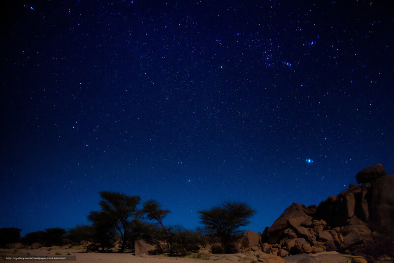 Starry Night Sky — Blue, Serene, Photograph, Trees