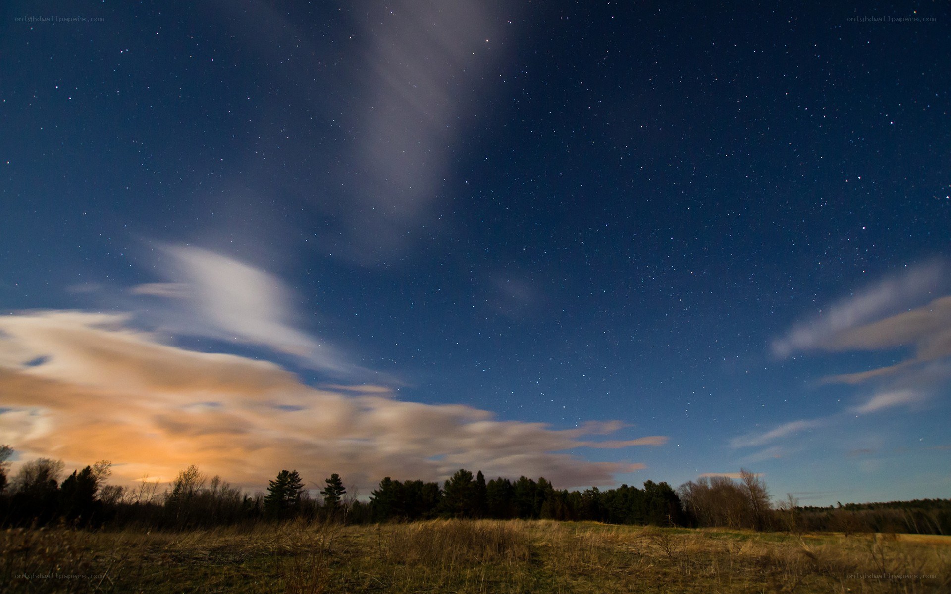 Starry night sky over a field