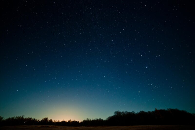 Starry night sky over a forest