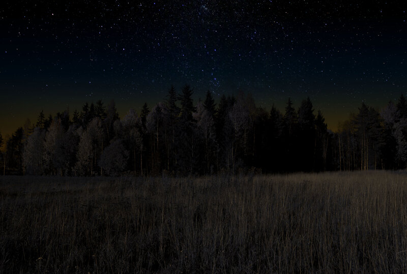 Starry Night Sky over Forest — Black