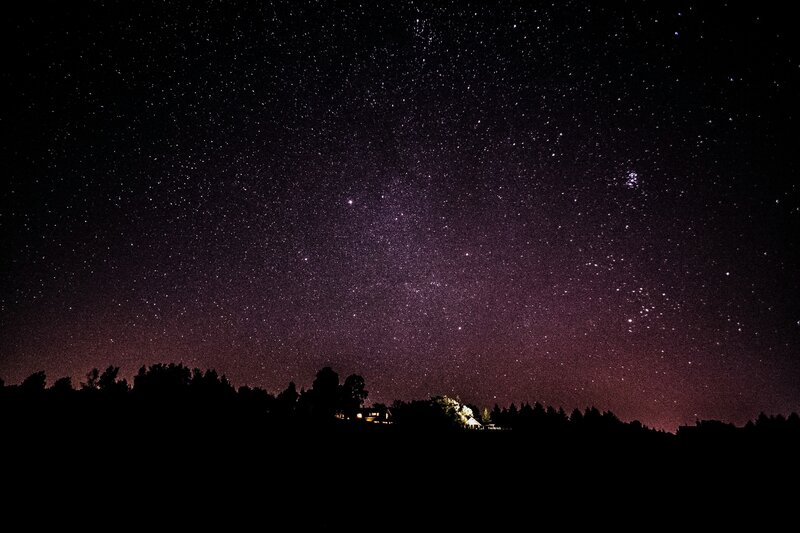 Starry night sky over forest
