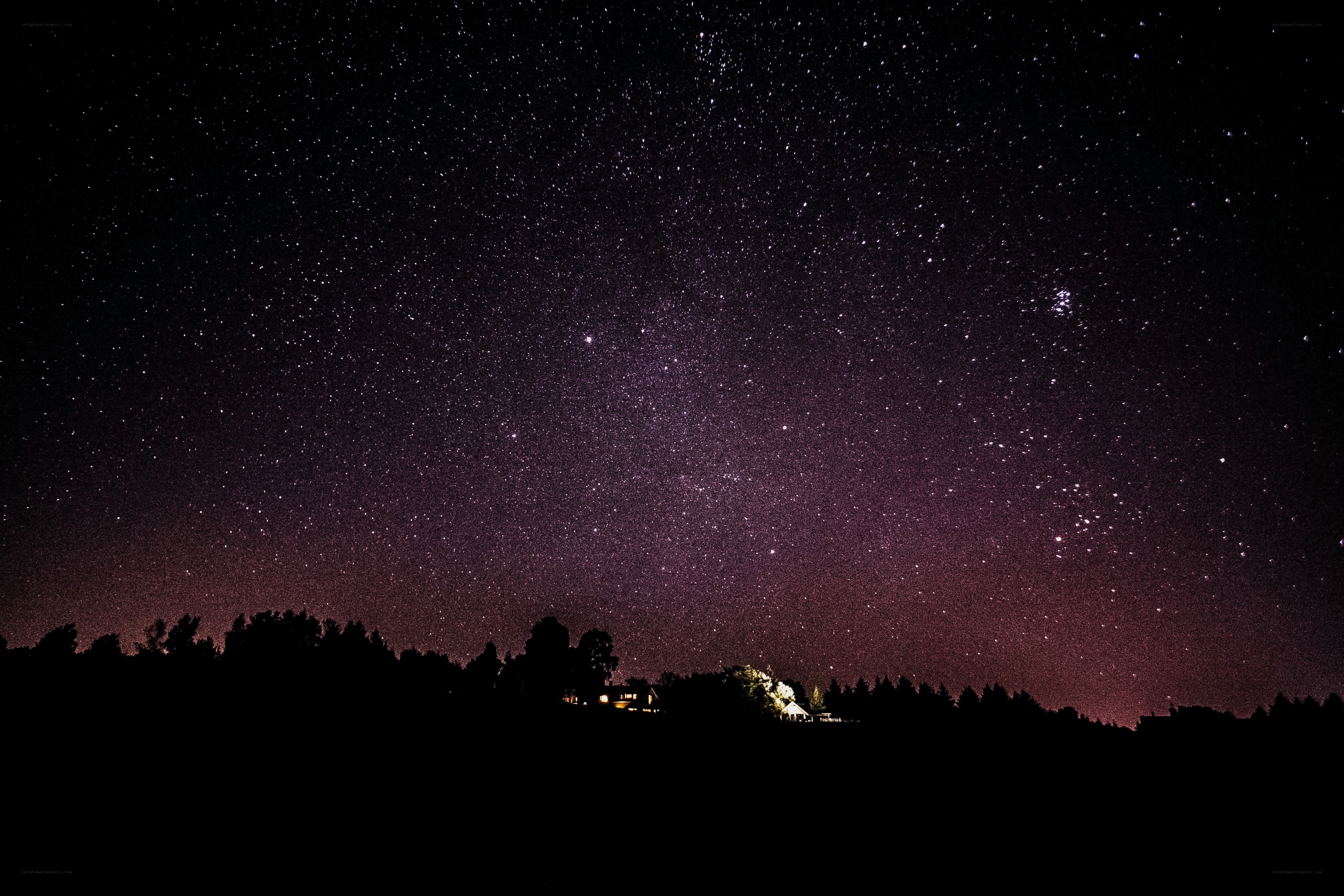 Starry night sky over forest