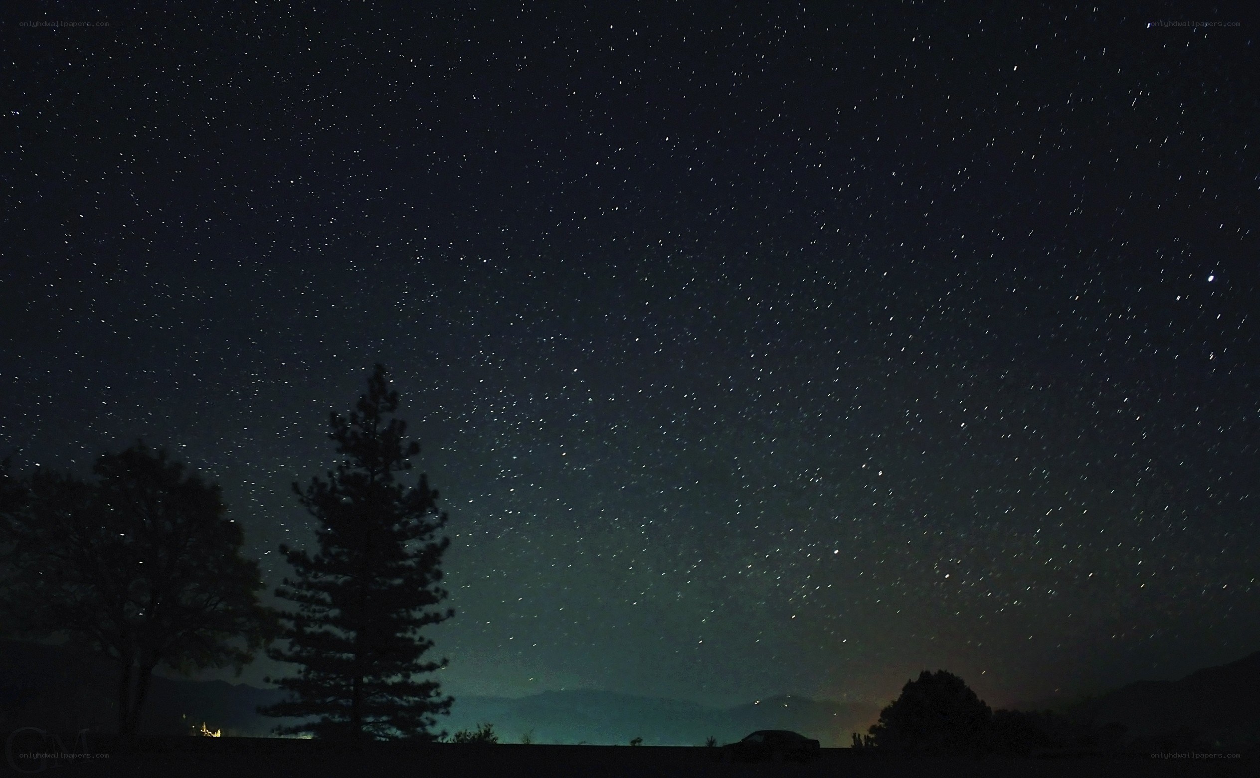 Starry night sky over trees