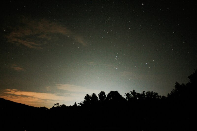 Starry night sky over trees