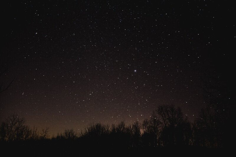 Starry night sky over trees