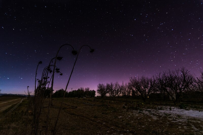Starry Night Sky — Purple