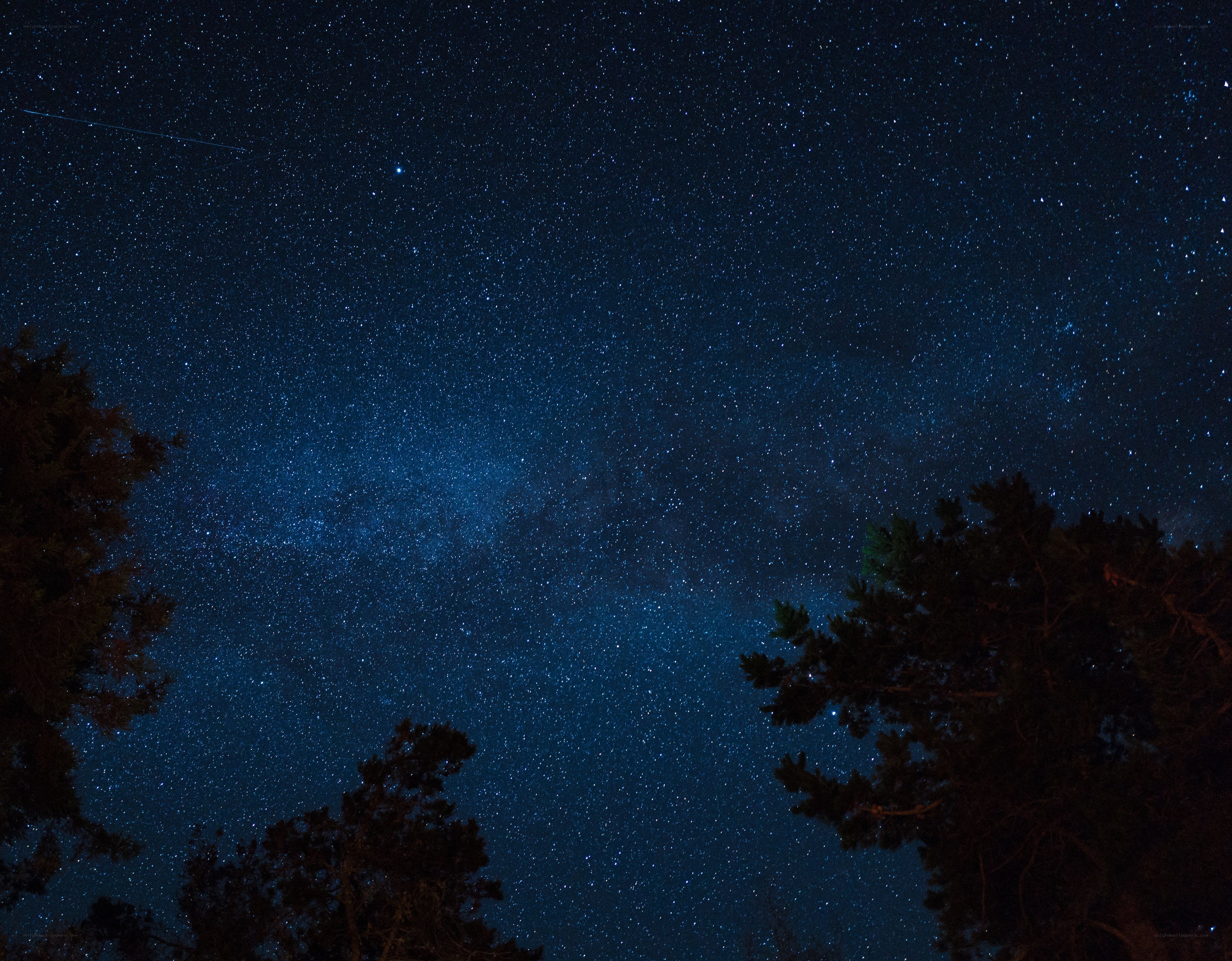 Starry night sky with Milky Way