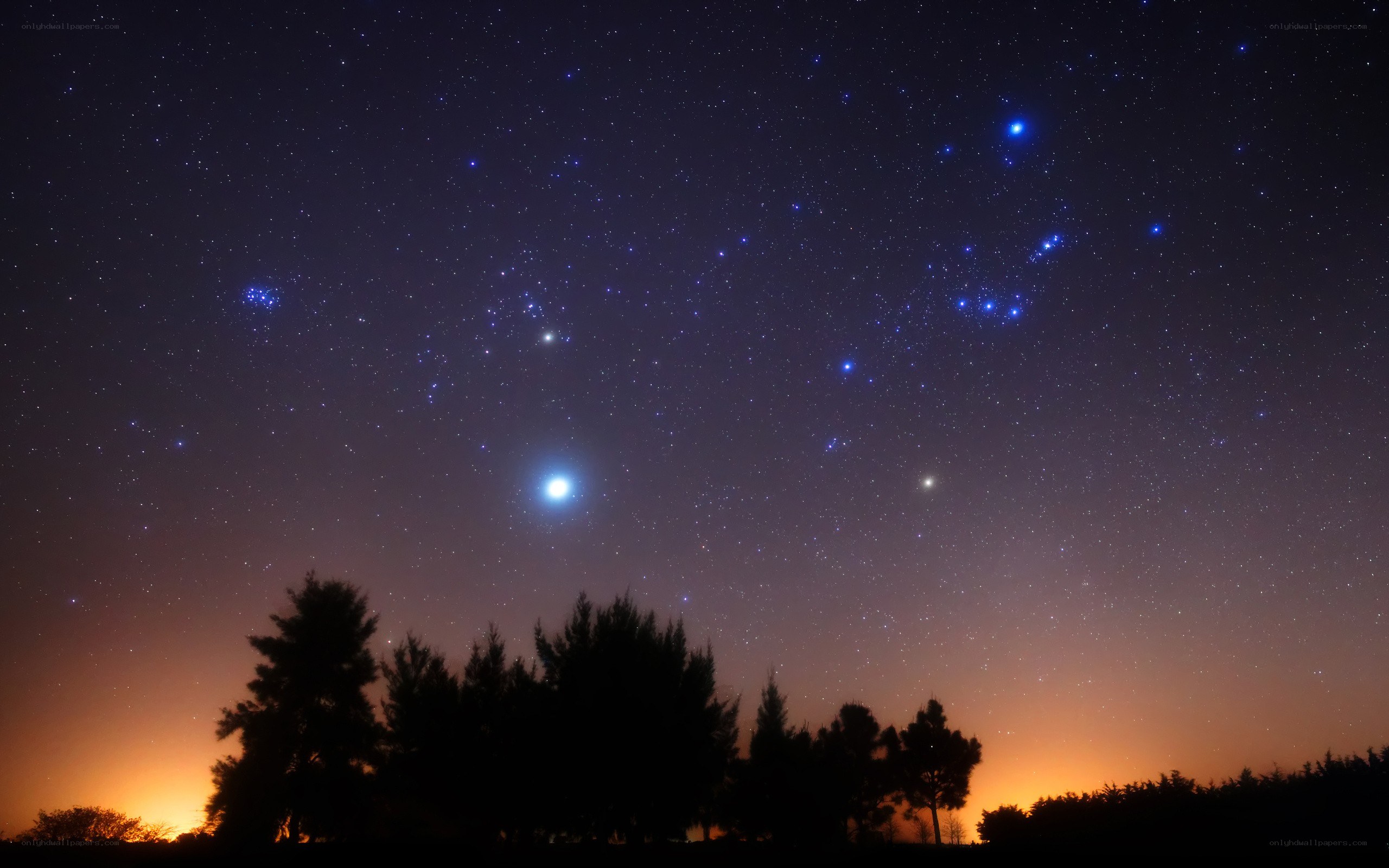 Starry night sky with Orion