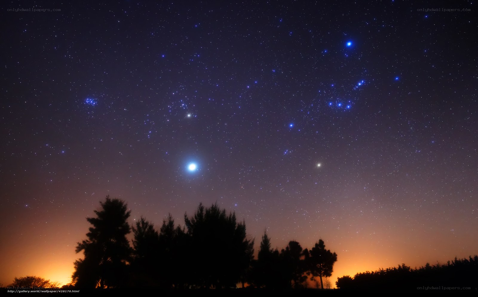 Starry night sky with Orion