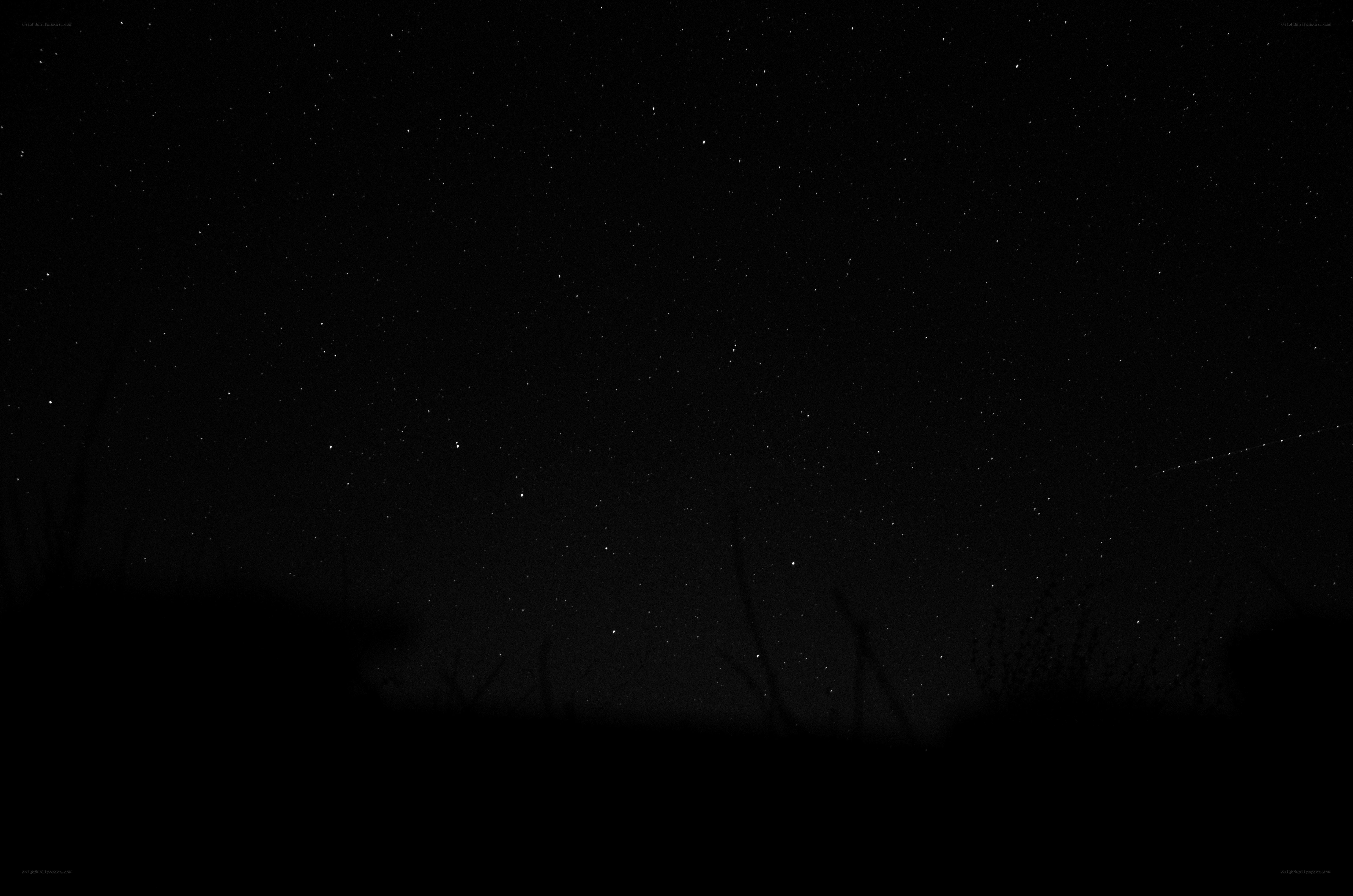 Starry night sky with silhouettes