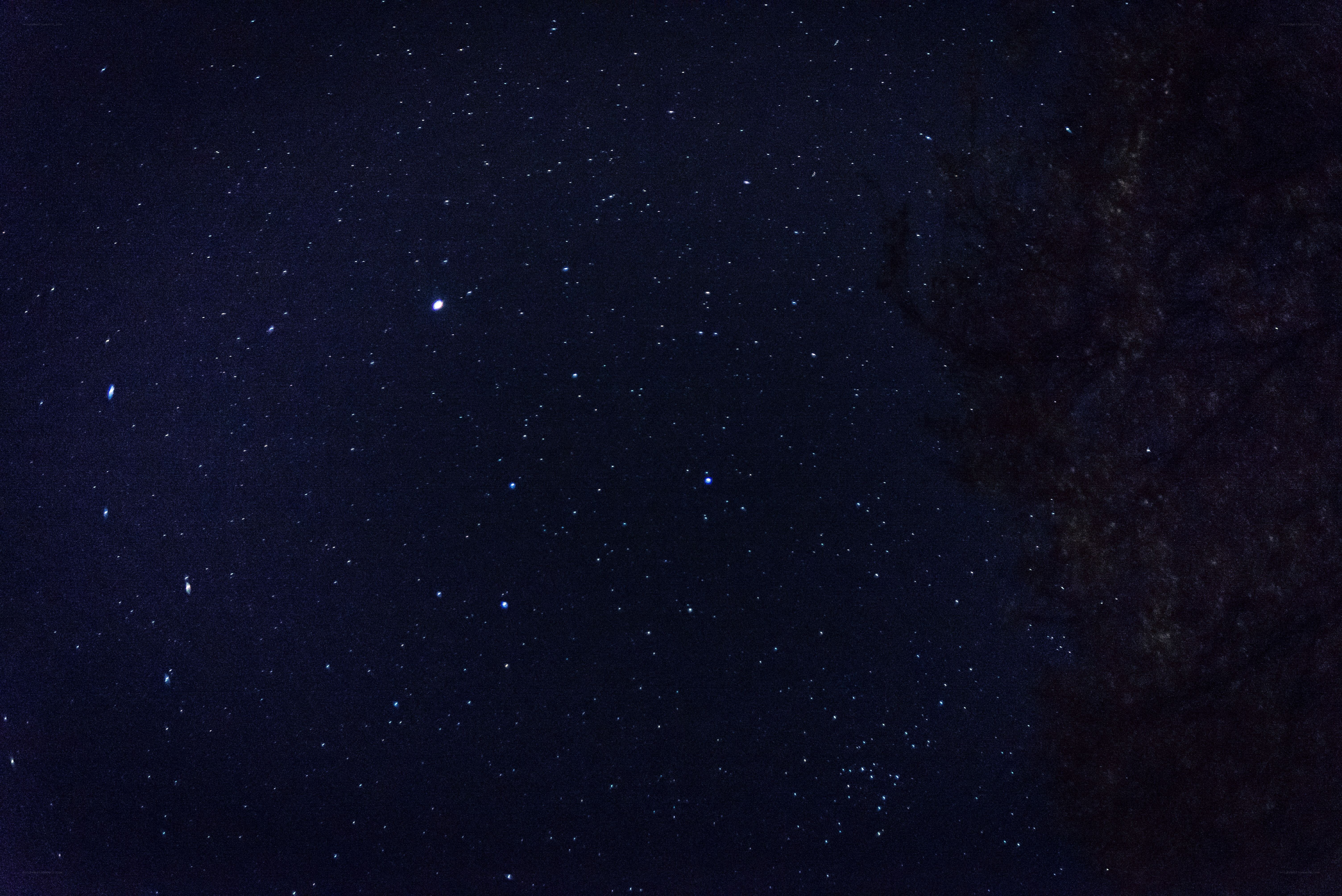 Starry night sky with tree silhouette