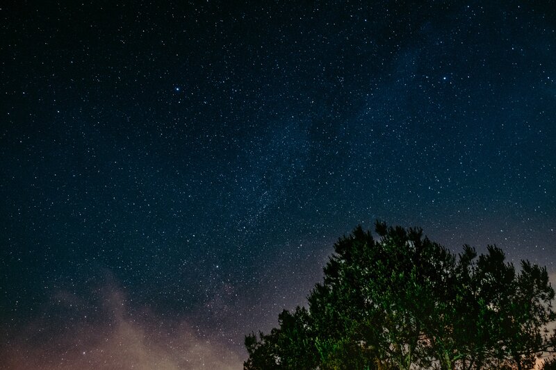 Starry night sky with tree