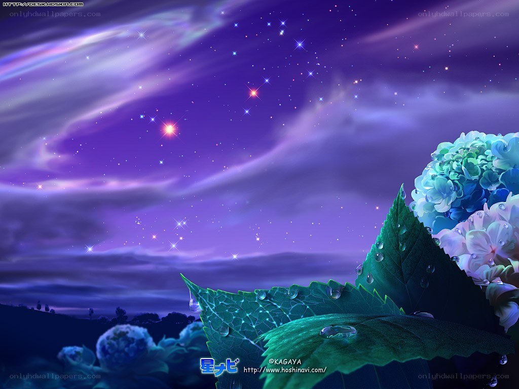 Starry night with hydrangeas