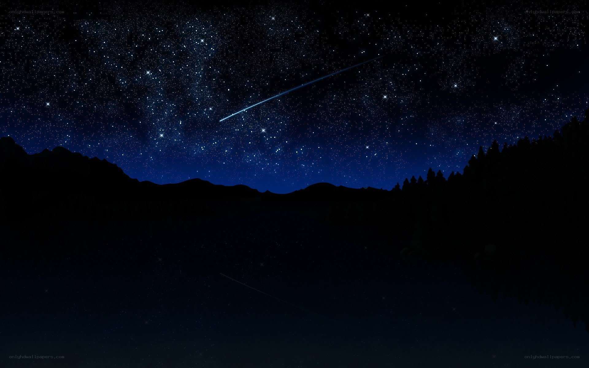 Starry night with meteor