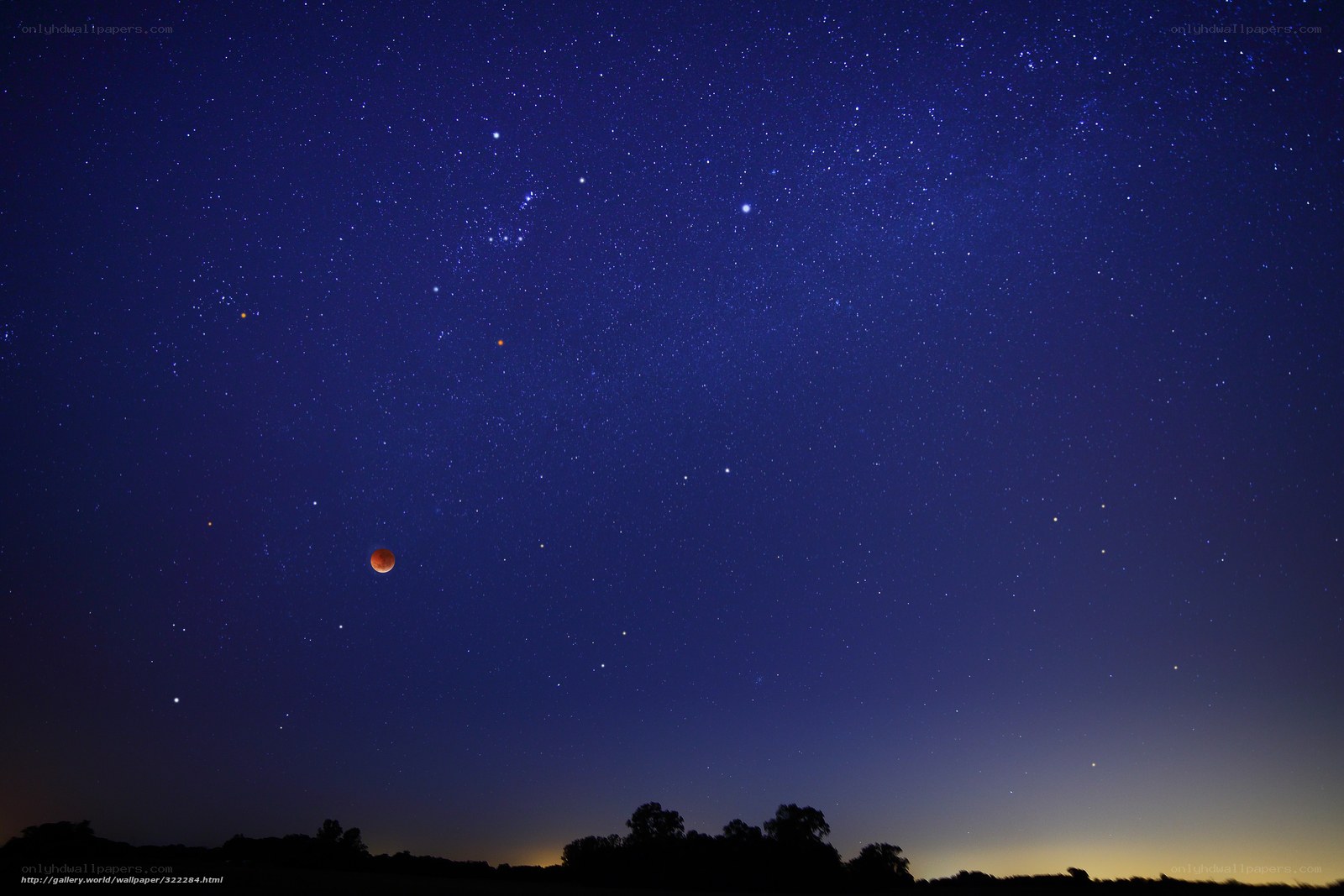 Starry night with red moon