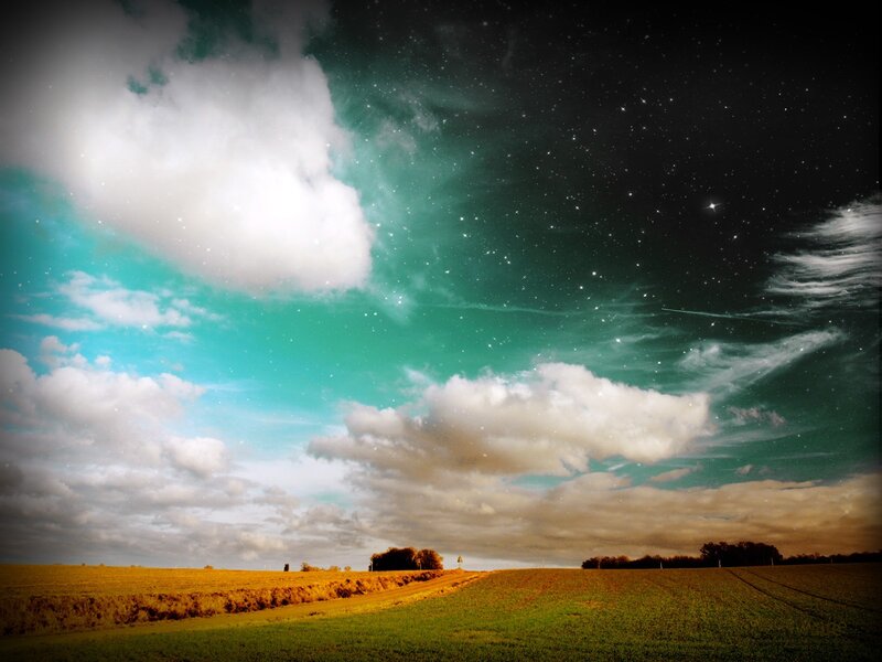 Starry sky over a field