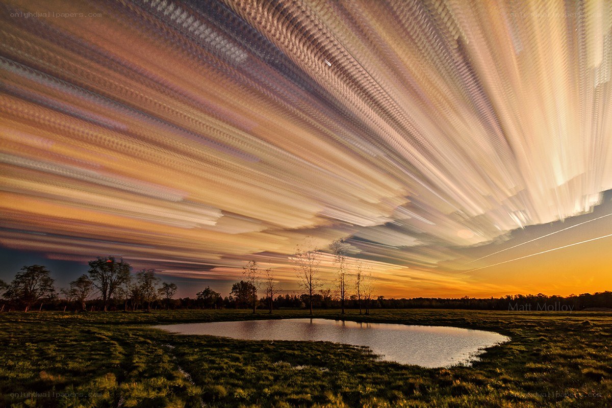 Starry sky over a pond