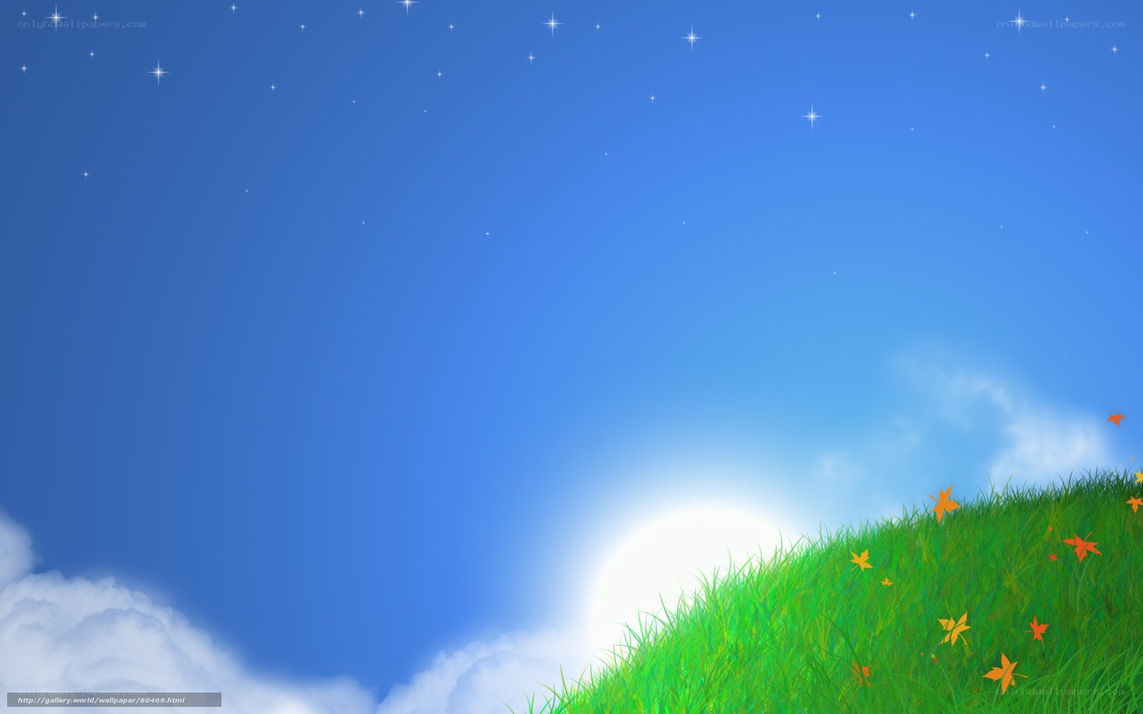 Starry sky over grassy hill