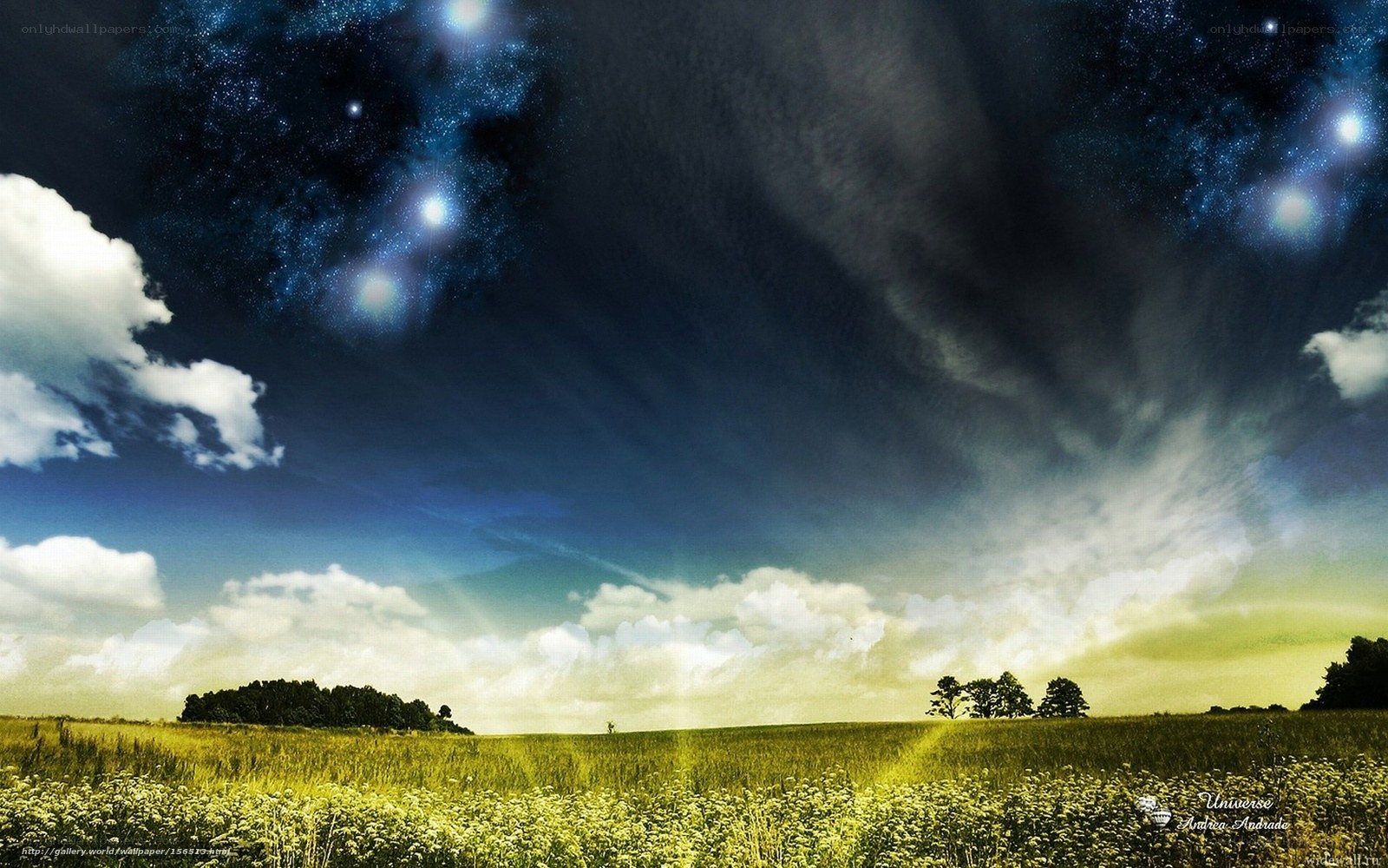 Starry sky over green field