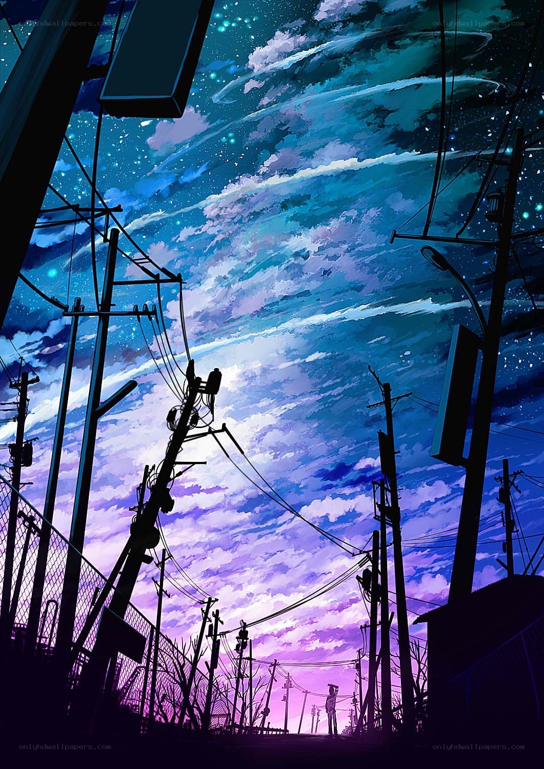 Starry sky over power lines