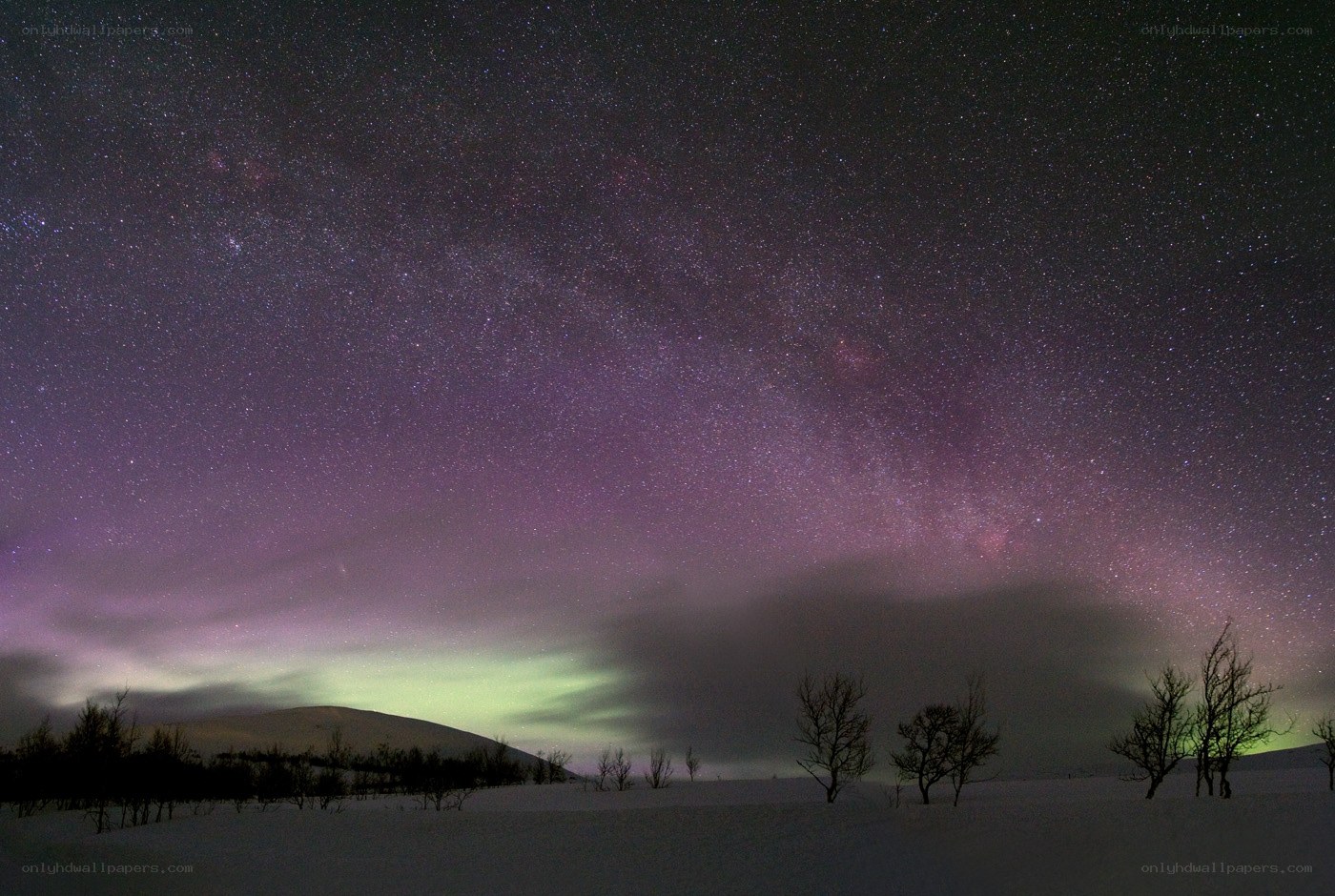 Starry sky over snowy landscape