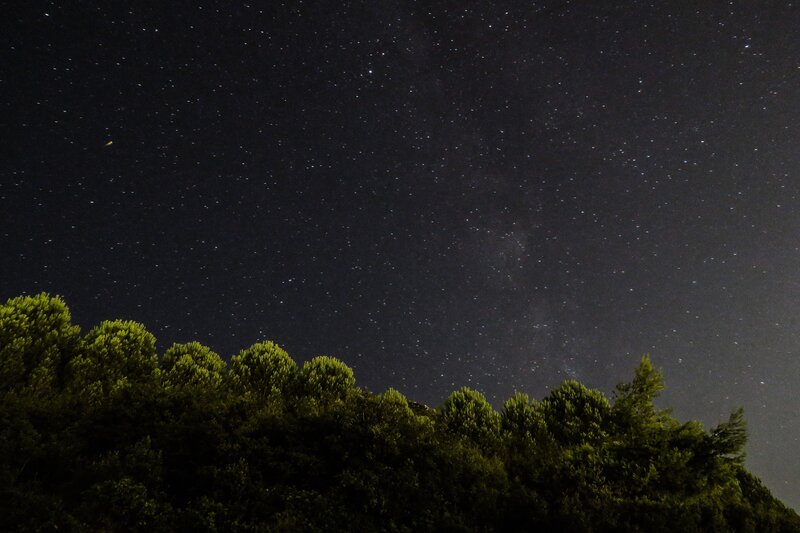 Starry Sky over Trees — Black