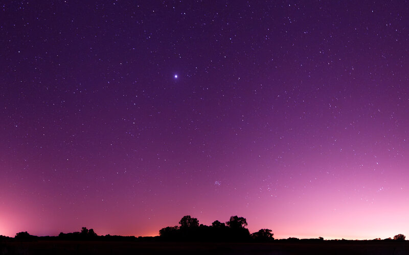 Starry Sky over Trees