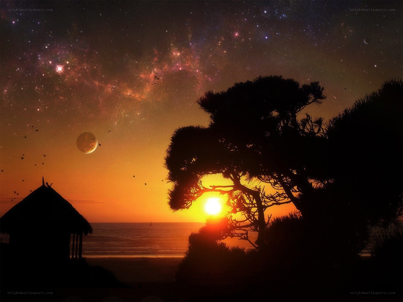 Starry sunset over beach