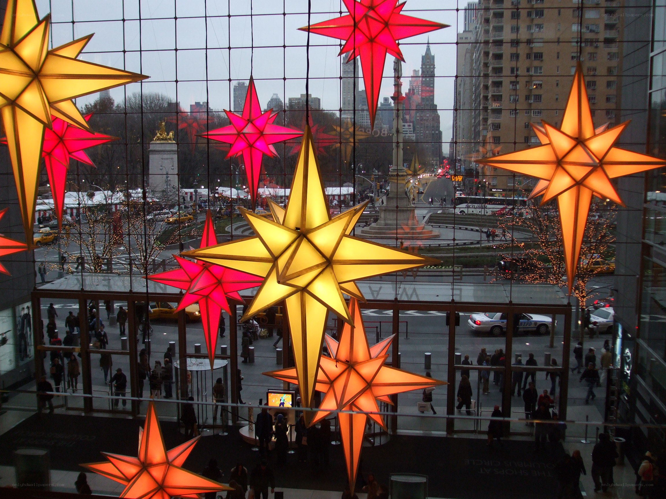 Stars in a city window display