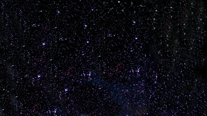 Stars in Dark Sky — Black