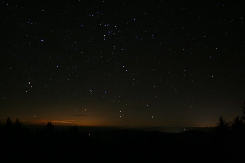 Stars in Night Sky — Black, Serene, Photograph, Trees, Horizon