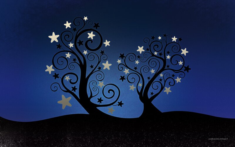 stars in the night sky