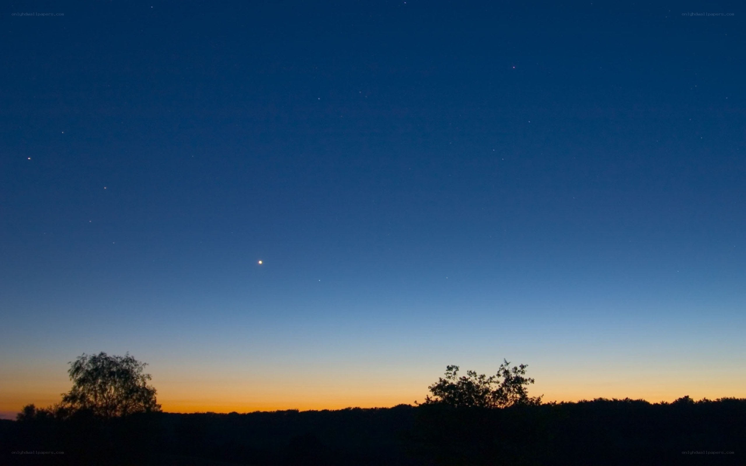 Stars over a silhouetted landscape