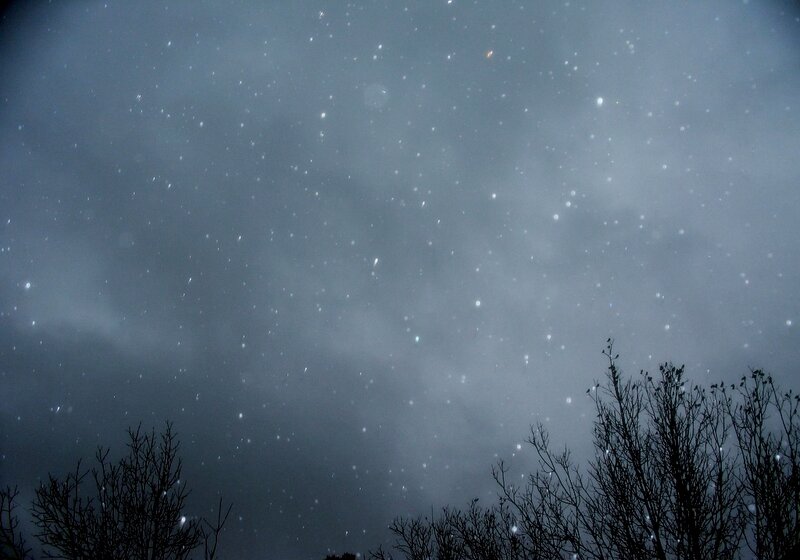 Stars over bare trees