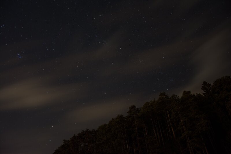 Stars over Forest — Black
