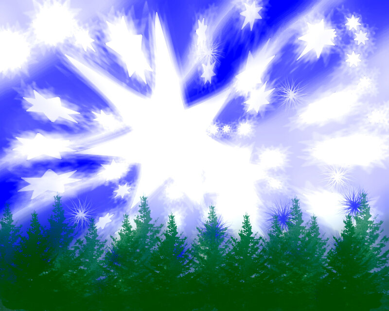 stars over pine forest