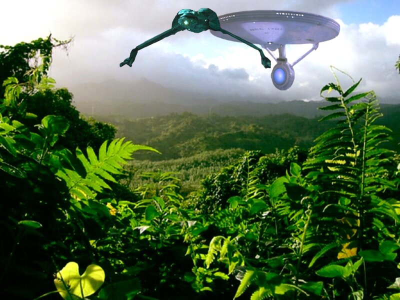 Starship in Jungle