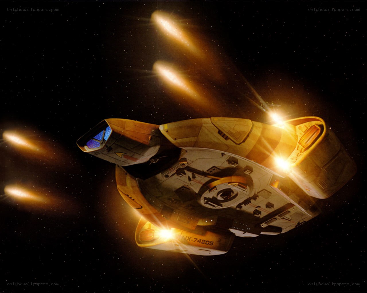 Starship in space flight