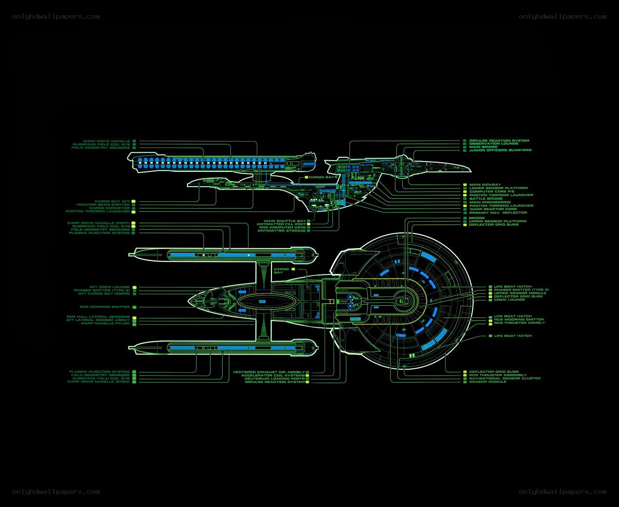 Starship technical schematic