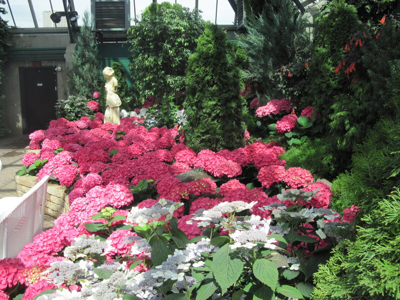 Statue in Flower Garden — Pink, Serene, Afternoon