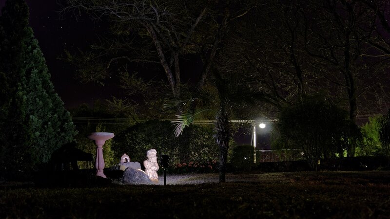 Statue in Garden at Night — Black