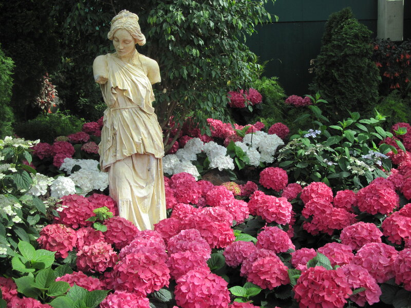 Statue in Hydrangea Garden — Pink, Serene