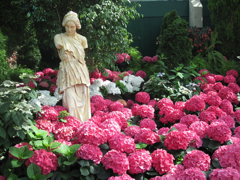 Statue in Hydrangea Garden — Pink