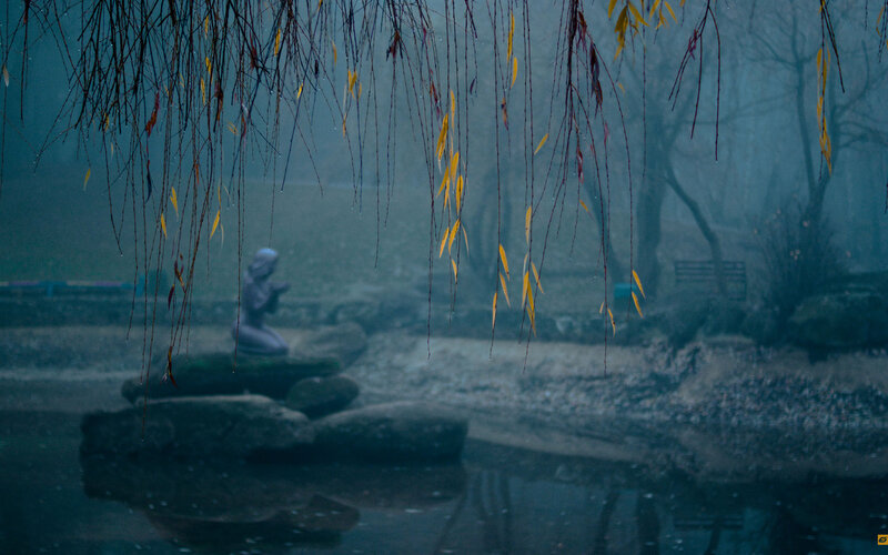 Statue in misty park
