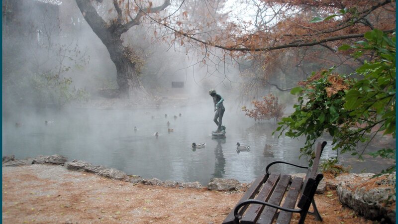 Statue in Pond with Ducks